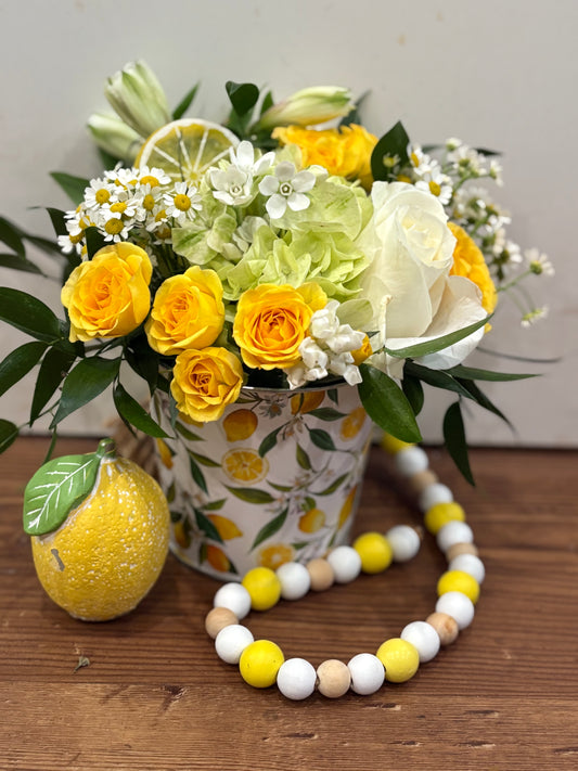 The Lemon Drop - Mom Mini