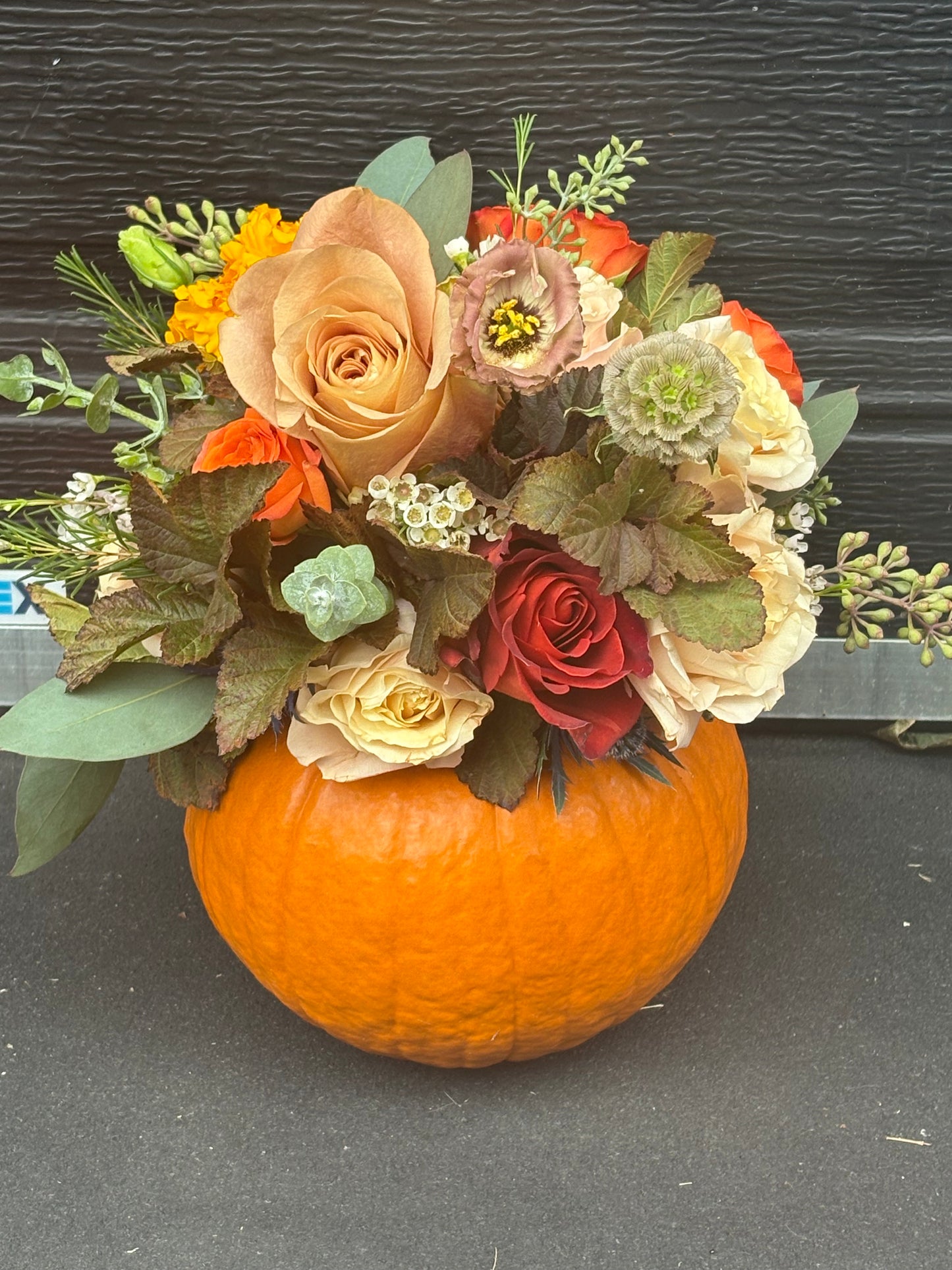 Bountiful Pumpkin